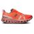 Mens On Running Cloudsurfer Trail
