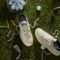 Reebok Club C Golf Chalk